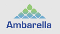 AMBARELLA