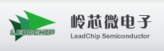 LEADCHIP